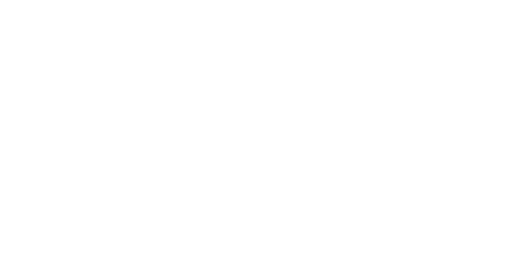 iConn Technologies